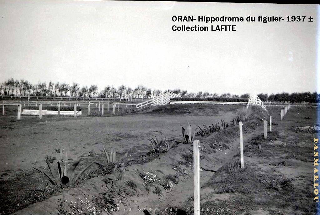 ORAN 1937 HYPPODROME DU FIGIER    (18).jpg